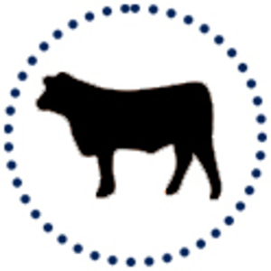 BenRobinson-115's avatar